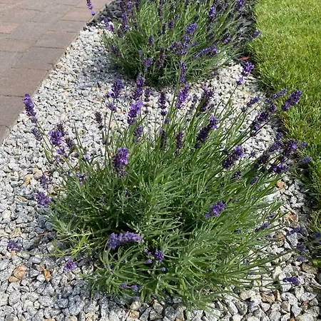 بيت للعطل Pod Morskimi Klonami كوبالينو