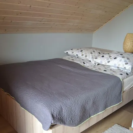 Pod Morskimi Klonami Kopalino